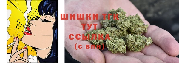 твердый Богданович