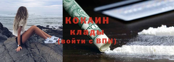 твердый Богданович