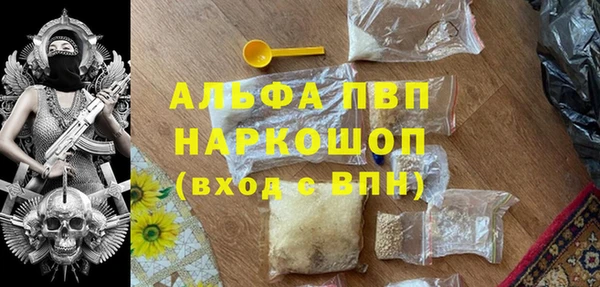 СК Богородск