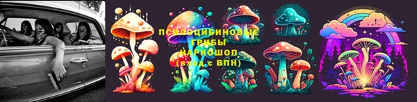 СК Богородск