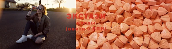 твердый Богданович