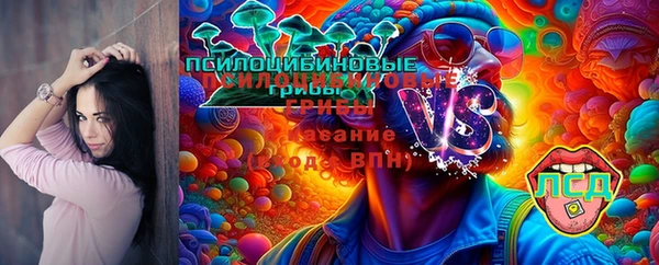 стаф Богородицк
