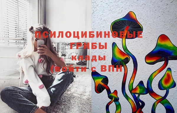 СК Богородск