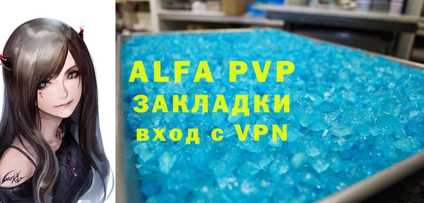 стаф Богородицк