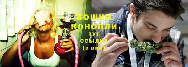 прущие грибы Белокуриха