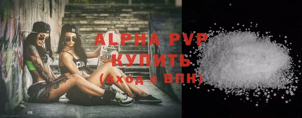 твердый Богданович