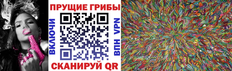 hydra ссылка  Наро-Фоминск  Псилоцибиновые грибы мицелий 